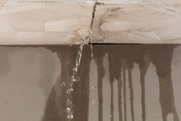 Professional Burst Pipe Cleanup technician working in Riverview, MI